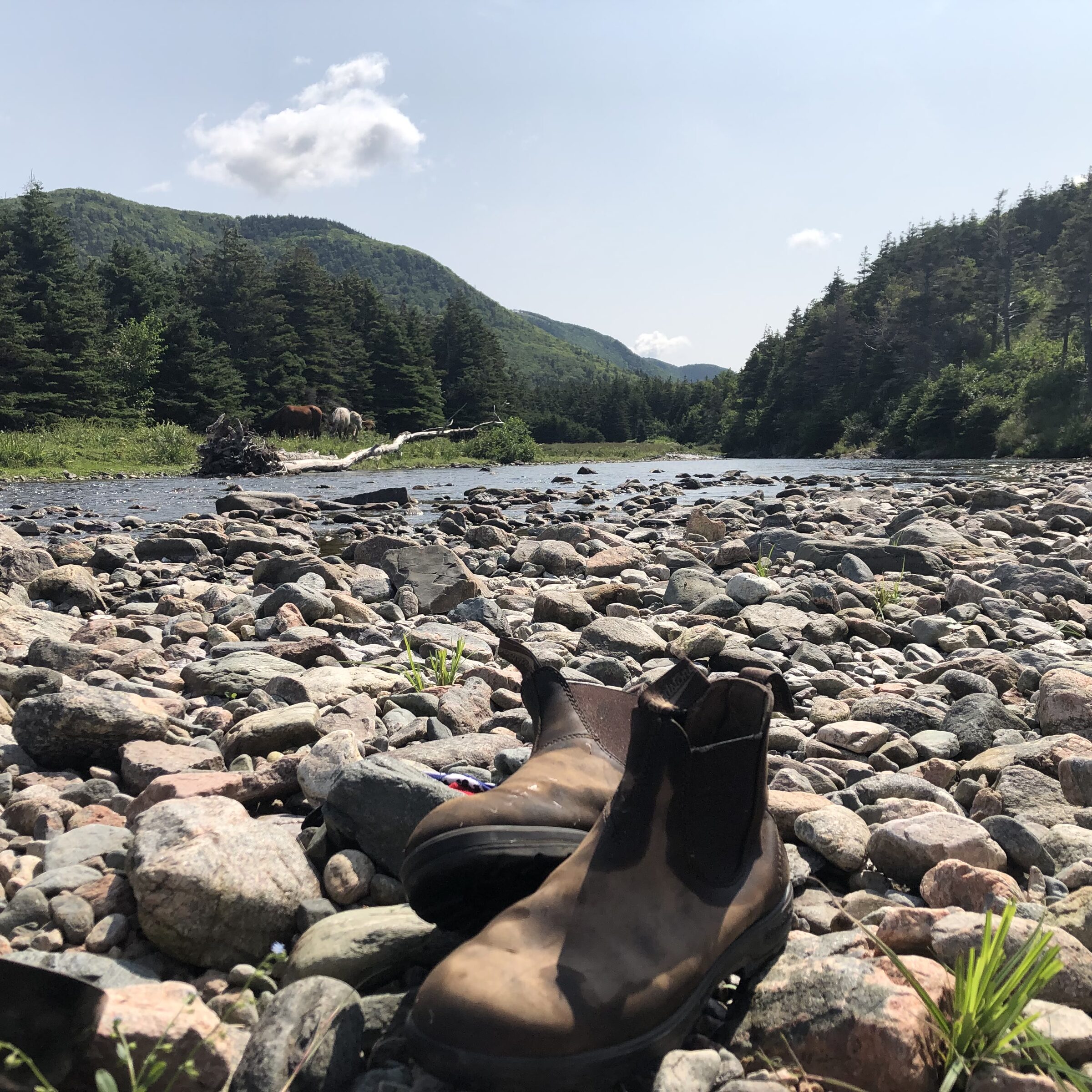 Camping & photography