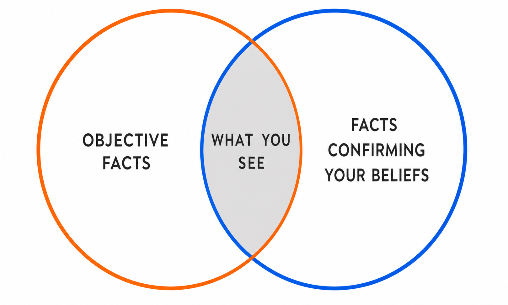 Cognitive Bias & The Dunning–Kruger Effect