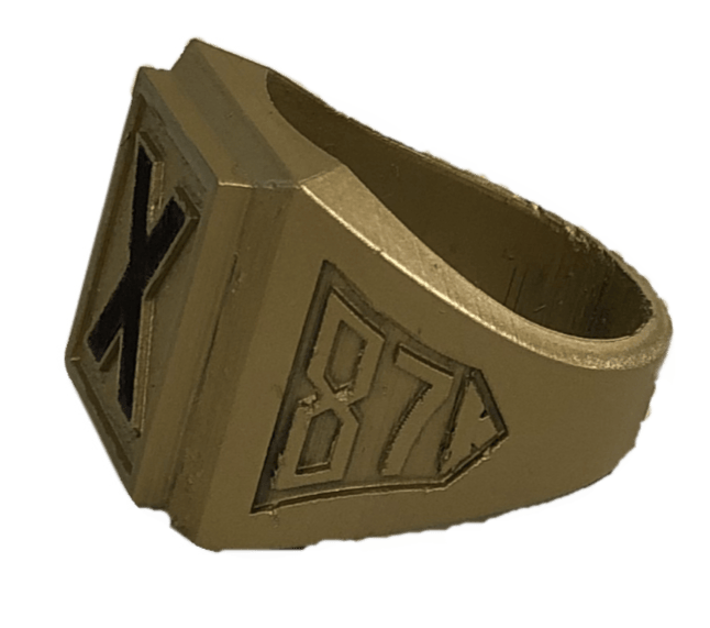 Giant X-Ring — SolidWorks model